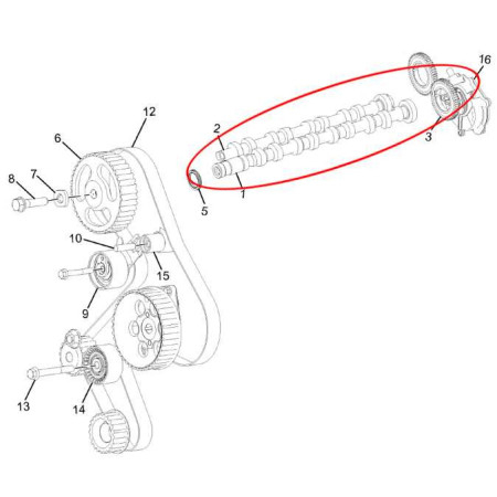 VAĆKA - SADA (VÝFUK + SANIE)