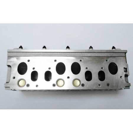 HLAVA VALCOV PRÁZDNA Economy