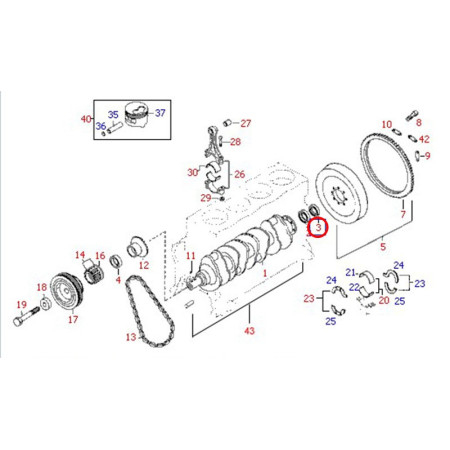 OIL SEAL (CRANKSHAFT - REAR)