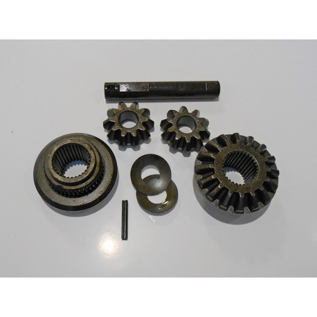 DIFFERENTIAL PINION SET