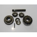 DIFFERENTIAL PINION SET